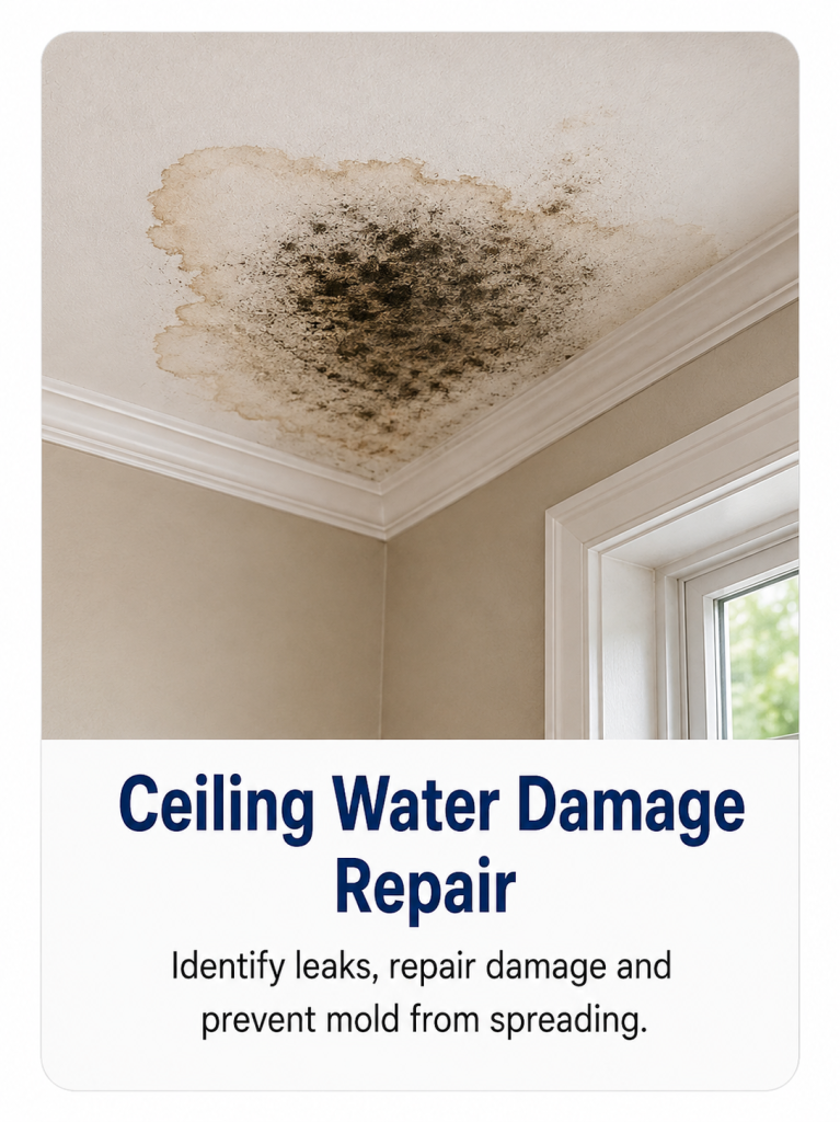 ceiling_water_damage_spring_hill_florida